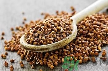 蕎麥有什么功效？蕎麥的功效是什么？