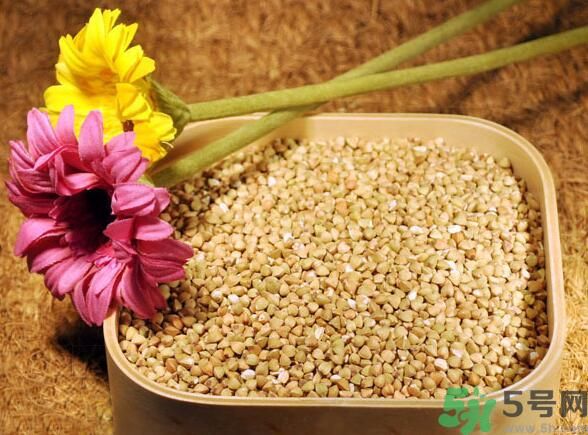 蕎麥是發(fā)物嗎？蕎麥是不是發(fā)物？