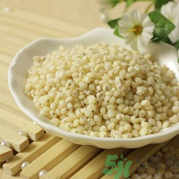 蕎麥能和高粱一起煮粥嗎？蕎麥和高粱一起煮粥好嗎？