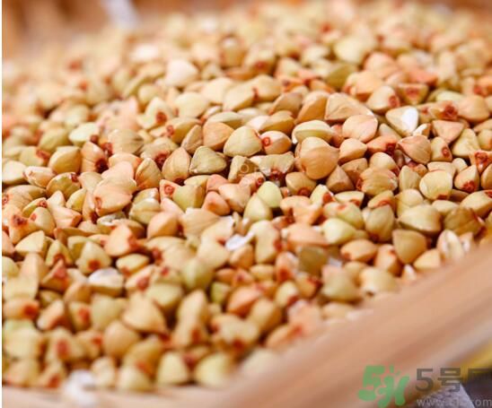 蕎麥可以包粽子嗎？蕎麥可以用來包粽子嗎？