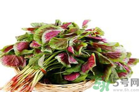 胃不好可以吃莧菜嗎？胃不好吃莧菜好嗎？