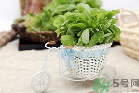 月經(jīng)期間可以吃漢菜嗎？來月經(jīng)可以吃漢菜嗎？