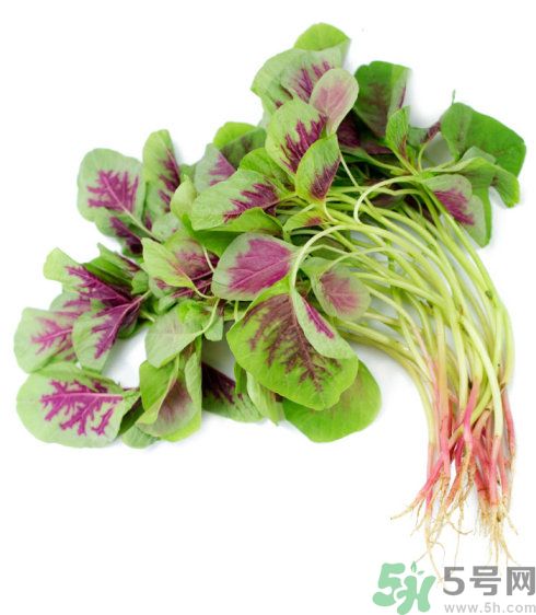 吃莧菜會(huì)皮膚過敏嗎？吃莧菜皮膚過敏怎么辦？