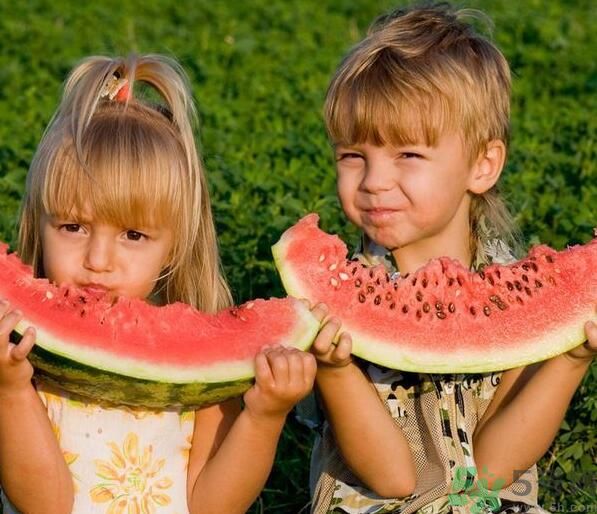 沙瓤西瓜怎么挑？怎么挑選西瓜？