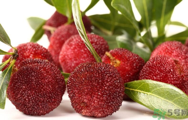 吃楊梅能喝茶嗎？吃楊梅的時候可以喝茶嗎？