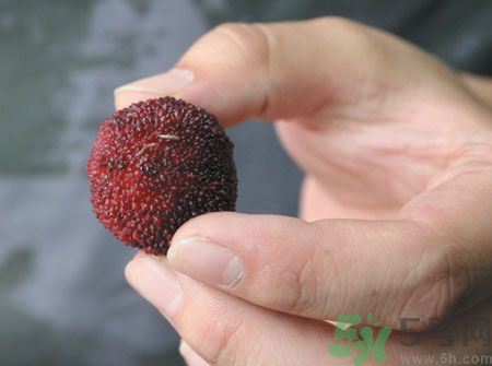楊梅里面的蟲子能吃嗎？楊梅里面的蟲子吃了會怎么樣？