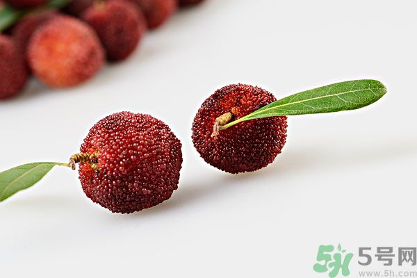 楊梅里面的蟲子是什么是蛆嗎？楊梅里的蟲子有害嗎？