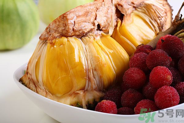 楊梅里面的蟲子是什么是蛆嗎？楊梅里的蟲子有害嗎？