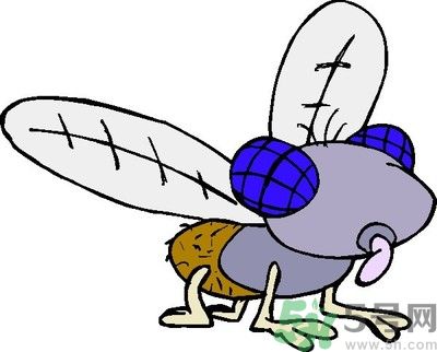 懷孕后被蚊子咬要用什么藥？懷孕后被蚊子咬可以用藥嗎？