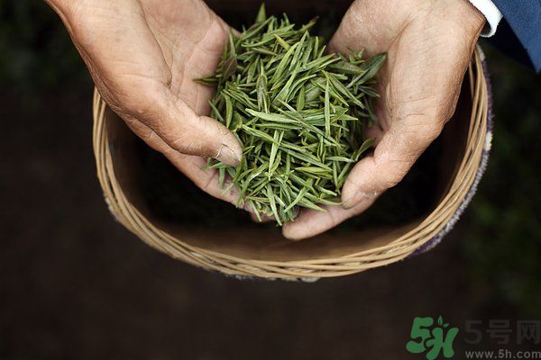 吃魚的時候能喝茶嗎？吃魚可以喝茶嗎？
