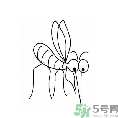 夏天家中有蒼蠅怎么辦？夏天如何滅蒼蠅？