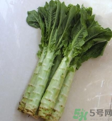 筍子是不是發(fā)物？筍子是發(fā)物嗎？