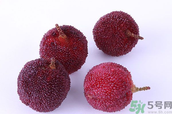 楊梅里面有小蟲怎么洗？楊梅里的蟲子怎么弄出來(lái)？