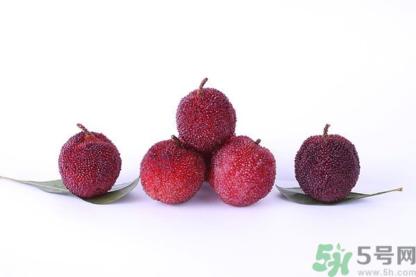 楊梅里面有小蟲怎么洗？楊梅里的蟲子怎么弄出來(lái)？