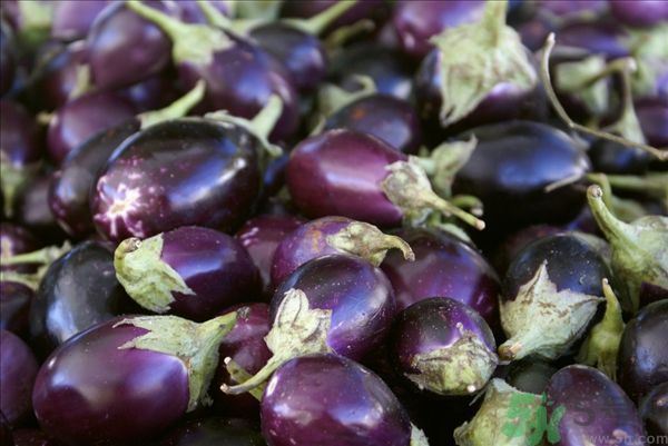 茄子里面有黑點能吃嗎？茄子里面黑了能吃嗎？