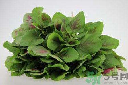 莧菜可以生吃嗎？莧菜生吃了會(huì)怎樣？