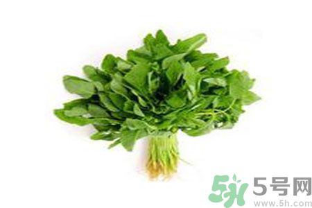 莧菜可以生吃嗎？莧菜生吃了會怎樣？