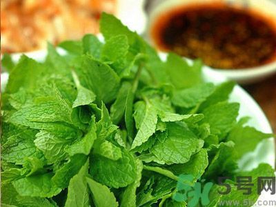 薄荷可以炒菜吃嗎？薄荷可以用來炒菜嗎？
