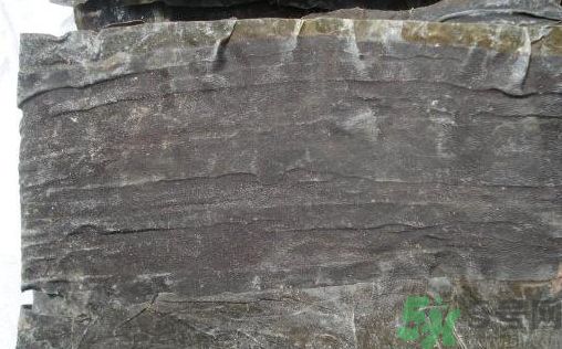 干海帶和鮮海帶哪個(gè)好?干海帶和鮮海帶的區(qū)別
