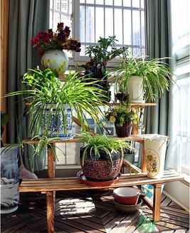 房子裝修后多久才能?。糠孔友b修后多久孕婦才能??？