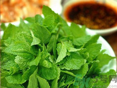 薄荷有什么功效？薄荷的攻效是什么？