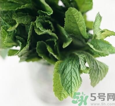 薄荷有什么功效？薄荷的攻效是什么？