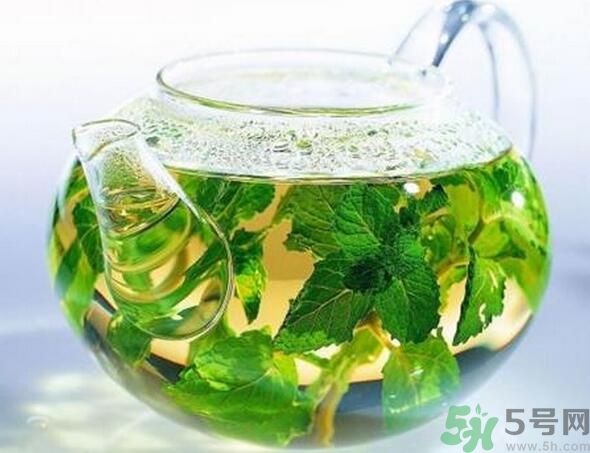 薄荷茶怎么泡好喝？薄荷茶的沖泡方法有哪些？