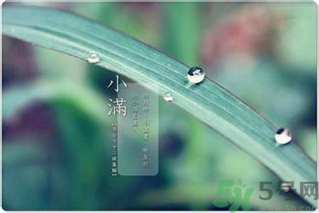 小滿(mǎn)容易得什么皮膚?。啃M(mǎn)得了皮膚病怎么辦？