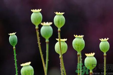 小滿做什么運動好？小滿運動要注意什么？