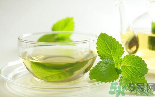  孕婦可以喝薄荷茶嗎？孕婦能喝薄荷泡的茶嗎？