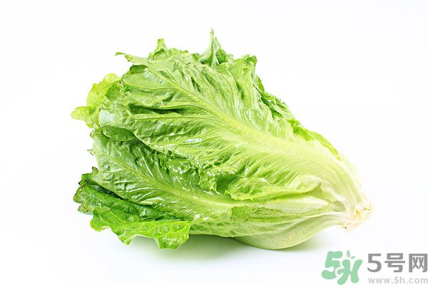 生菜在冰箱放久了能吃嗎？如何分辨生菜新不新鮮？