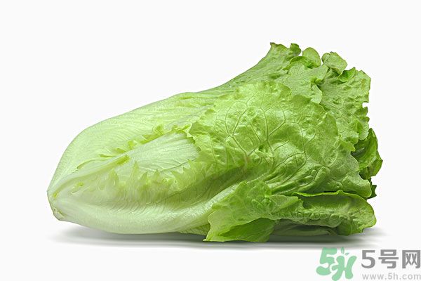 生菜在冰箱放久了能吃嗎？如何分辨生菜新不新鮮？