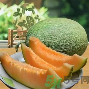 吃哈密瓜可以喝可樂嗎？喝可樂可以吃哈密瓜嗎？