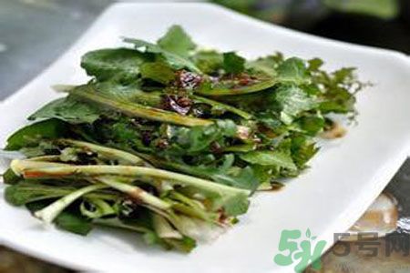 苦菜是酸性還是堿性？苦菜是堿性的嗎？