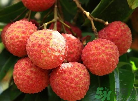 荔枝是酸性還是堿性?荔枝是酸性的食物嗎? 荔枝是酸性還是堿性?荔枝是酸性的食物嗎?