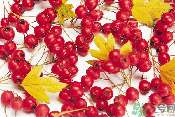 幼兒吃山楂好嗎？幼兒吃山楂片好嗎？