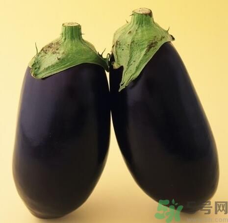 青皮茄子和紫皮茄子有什么區(qū)別？青皮茄子好還是紫皮茄子好？