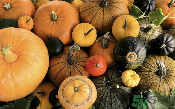 南瓜和筍能一起吃嗎？竹筍和南瓜一起吃好嗎？