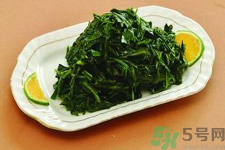 苦菜苦不苦？苦菜怎么做不苦？