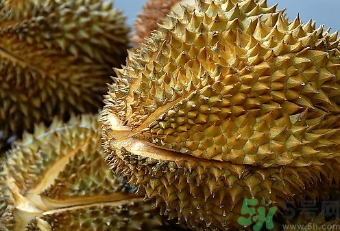 櫻桃可以和榴蓮一起吃嗎?櫻桃能和榴蓮同吃嗎?