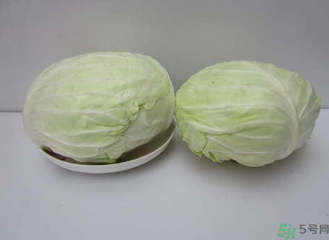 包菜榨汁要加水嗎？包菜汁怎么做？