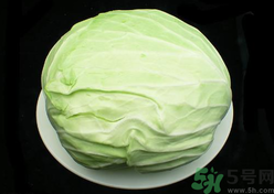 包菜榨汁要加水嗎？包菜汁怎么做？