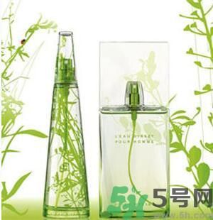 蚊子叮的包過(guò)幾天又癢是為什么？蚊子叮的包過(guò)幾天又癢怎么辦？