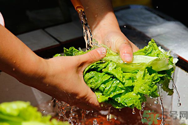 生菜生吃會(huì)有寄生蟲嗎？生菜生吃會(huì)長寄生蟲嗎？