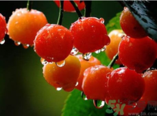 1463971653358079.png snap00209.png