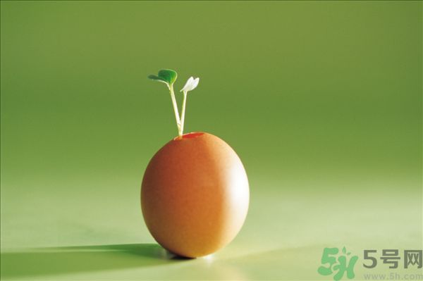 生菜和雞蛋能一起吃嗎？生菜和雞蛋一起怎么做？