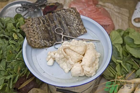 夏天吃蛇肉可以清火嗎？夏天吃蛇肉可以降火嗎？