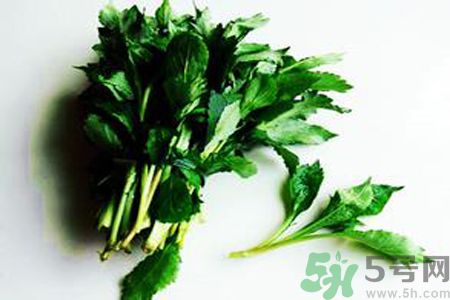 苦菜可以和蝦一起吃嗎？苦菜和蝦一起吃好嗎？