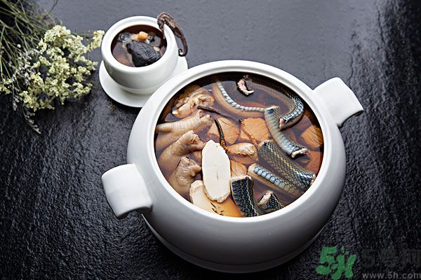 蛇肉是涼性嗎？蛇肉是涼性還是熱性？