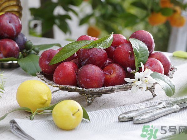 為什么說李子樹下埋死人？李子的食用禁忌有哪些？